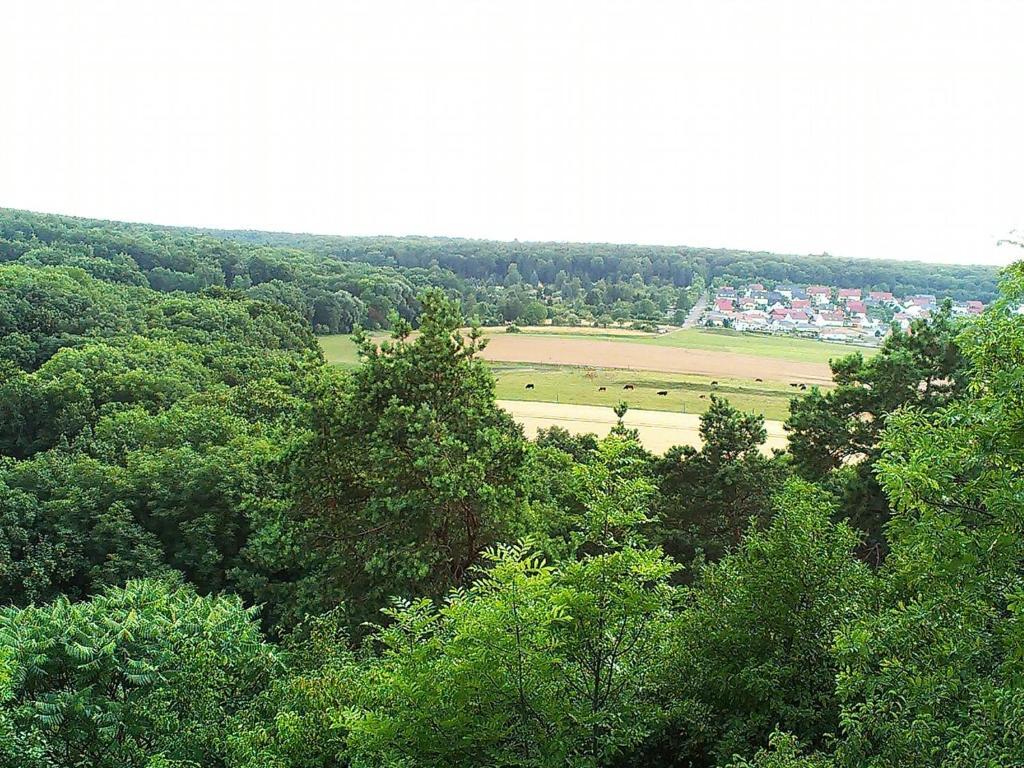 Müllers Hotel&Restaurant Érfurt Habitación foto